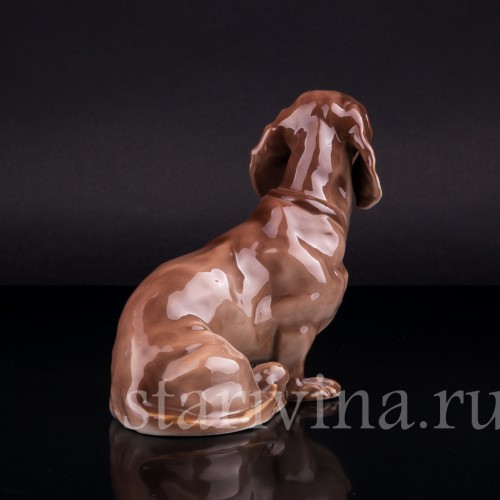 Такса, Nymphenburg, Германия