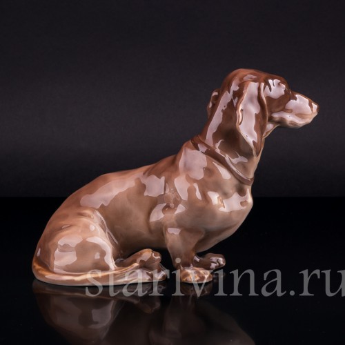 Такса, Nymphenburg, Германия