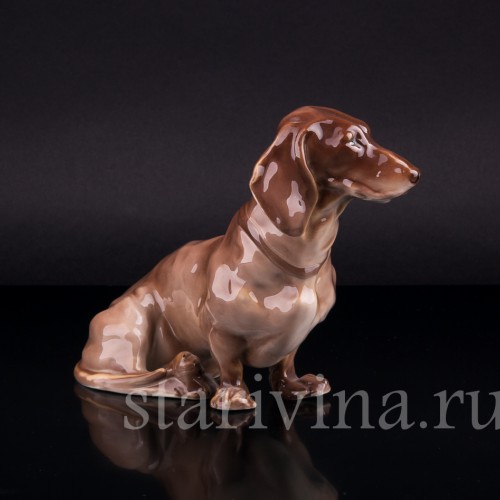 Такса, Nymphenburg, Германия