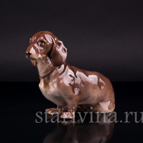 Такса, Nymphenburg, Германия