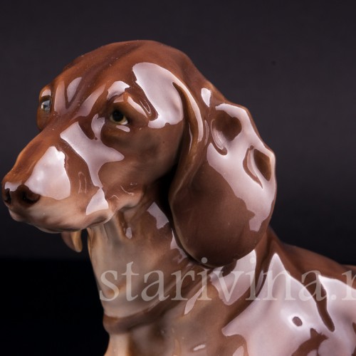 Такса, Nymphenburg, Германия