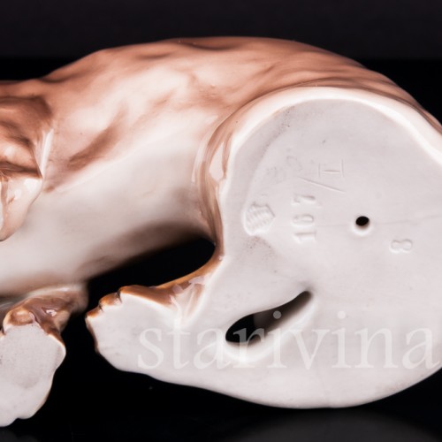 Такса, Nymphenburg, Германия