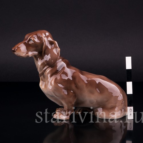 Такса, Nymphenburg, Германия