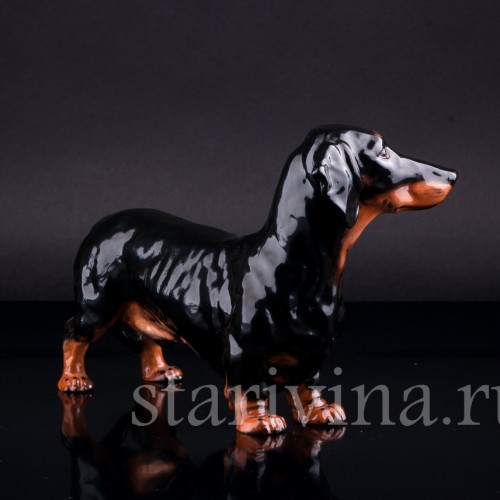 Статуэтка собаки из фарфора Черная такса, Royal Doulton, Великобритания, пер. пол. 20 в.
