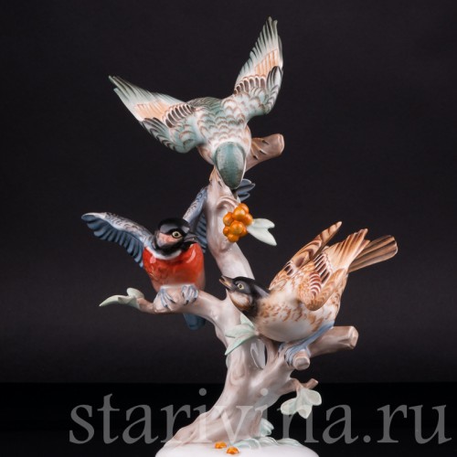 Перебранка птиц, Rosenthal, Германия, 1956 г