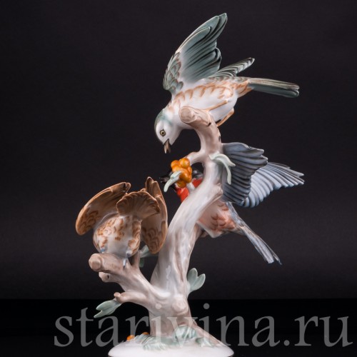Перебранка птиц, Rosenthal, Германия, 1956 г