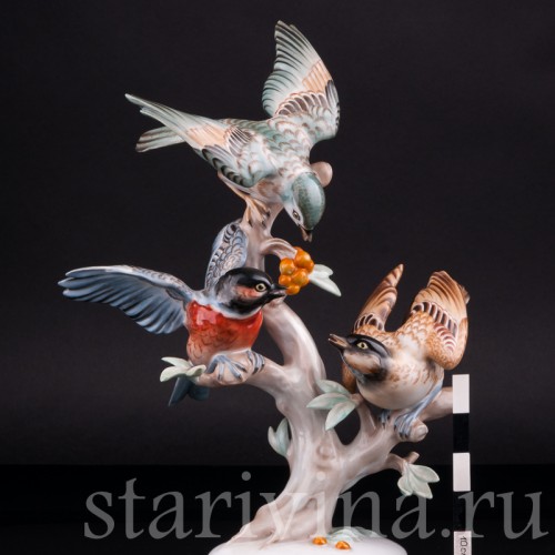 Перебранка птиц, Rosenthal, Германия, 1956 г