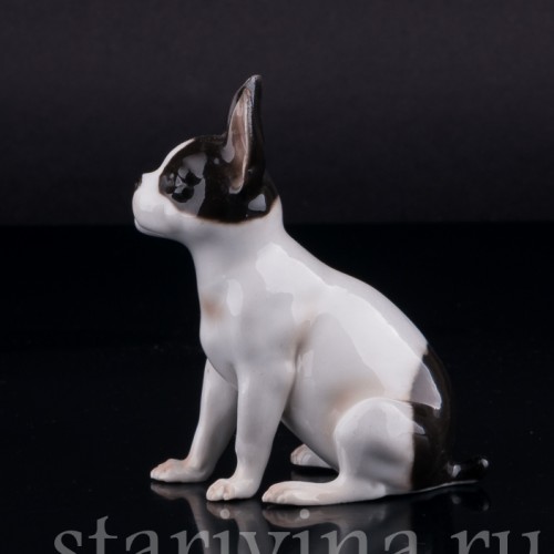 Сидящий бостонский терьер, миниатюра, Германия