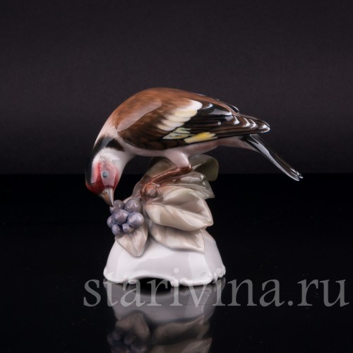 Щегол, Rosenthal, Германия, 1945 г