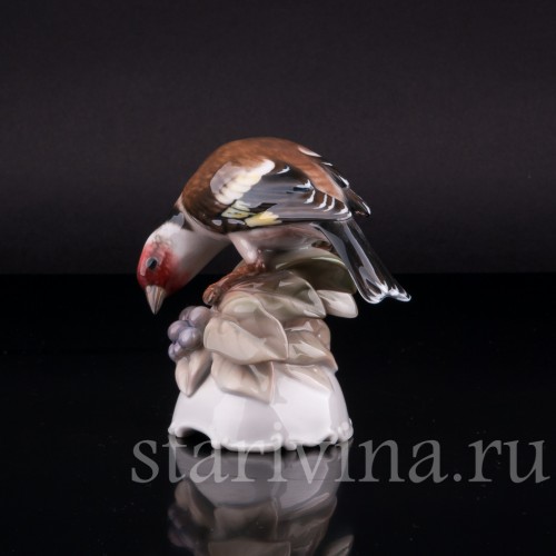 Щегол, Rosenthal, Германия, 1945 г