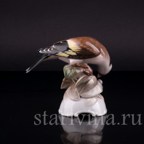 Щегол, Rosenthal, Германия, 1945 г