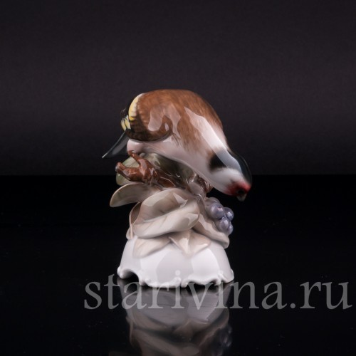 Щегол, Rosenthal, Германия, 1945 г