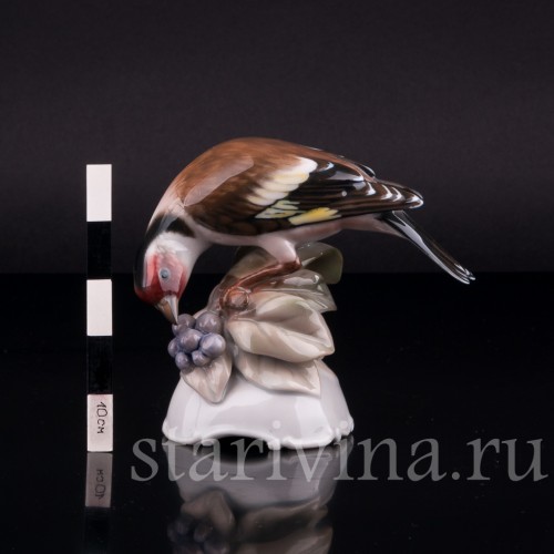 Щегол, Rosenthal, Германия, 1945 г