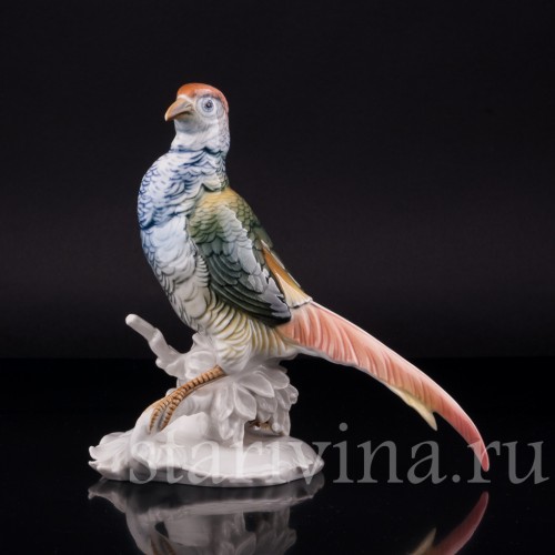 Фазан, Karl Ens, Германия, 1920-30 гг