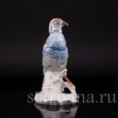 Фазан, Karl Ens, Германия, 1920-30 гг