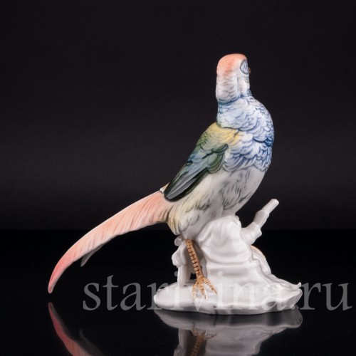 Фазан, Karl Ens, Германия, 1920-30 гг