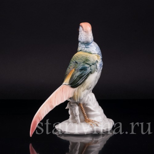 Фазан, Karl Ens, Германия, 1920-30 гг