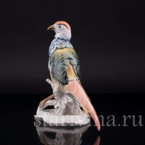 Фазан, Karl Ens, Германия, 1920-30 гг