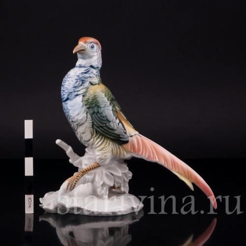 Фазан, Karl Ens, Германия, 1920-30 гг