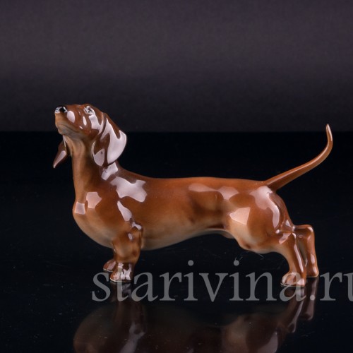 Такса, Hutschenreuther, Германия, 1970 гг