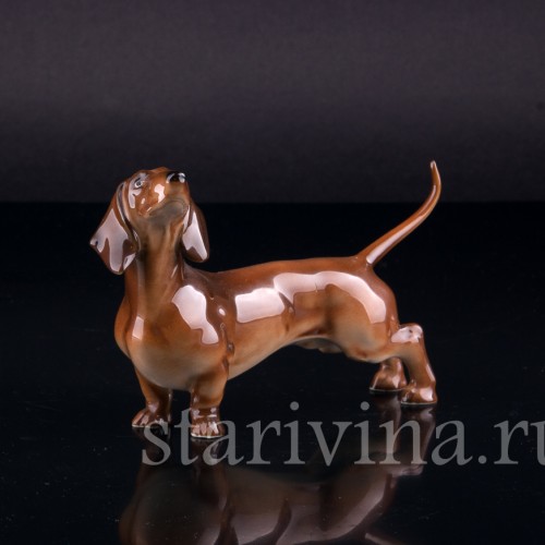 Такса, Hutschenreuther, Германия, 1970 гг