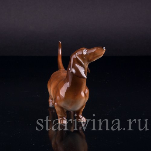 Такса, Hutschenreuther, Германия, 1970 гг