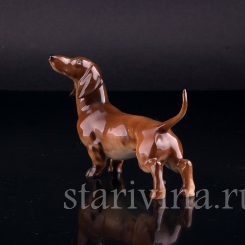 Такса, Hutschenreuther, Германия, 1970 гг