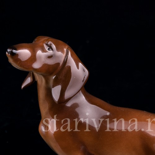 Такса, Hutschenreuther, Германия, 1970 гг