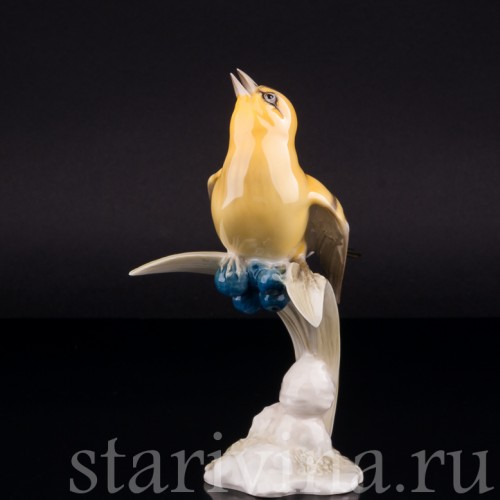 Иволга, Hutschenreuther, Германия, 1938-55 гг