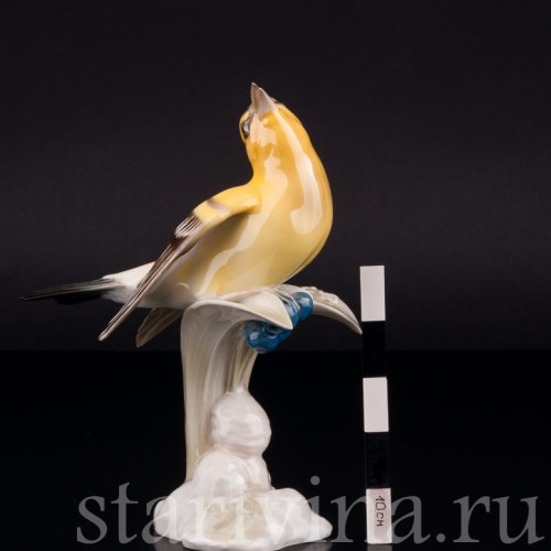 Иволга, Hutschenreuther, Германия, 1938-55 гг