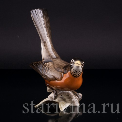 Фарорвая статуэтка птицы Дрозд-рябинник, Hutschenreuther, Германия, 1938-55 гг.