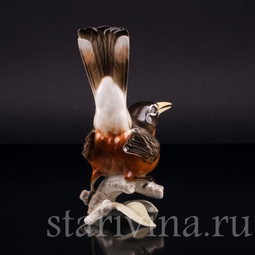 Фарорвая статуэтка птицы Дрозд-рябинник, Hutschenreuther, Германия, 1938-55 гг.