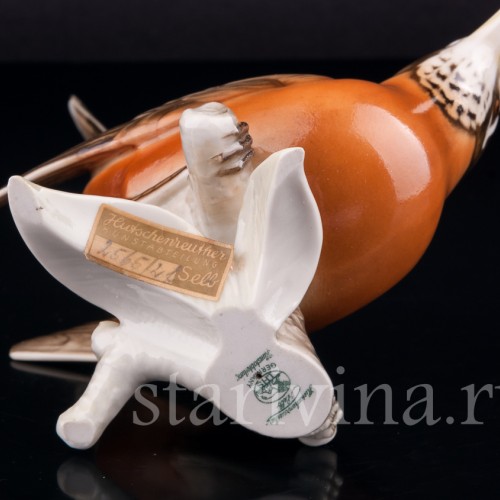 Фарорвая статуэтка птицы Дрозд-рябинник, Hutschenreuther, Германия, 1938-55 гг.