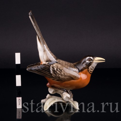 Фарорвая статуэтка птицы Дрозд-рябинник, Hutschenreuther, Германия, 1938-55 гг.