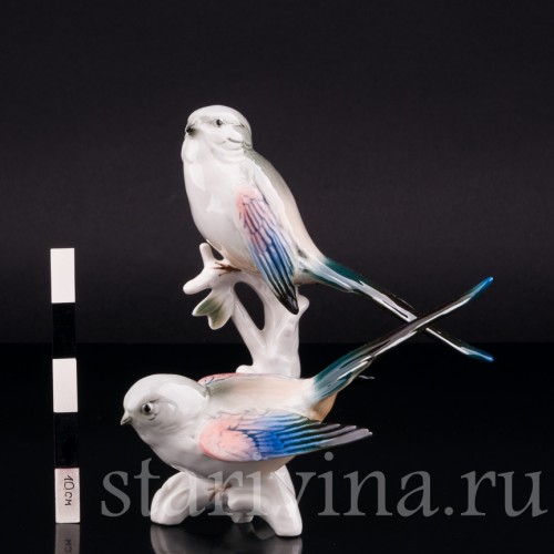 Фарфоровая статуэтка птиц Длиннохвостые синицы, Karl Ens, Германия, 1950 гг.