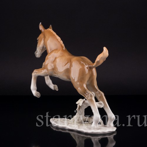 Статуэтка из фарфора Резвящийся жеребёнок, Hutschenreuther, Германия, 1970 гг.