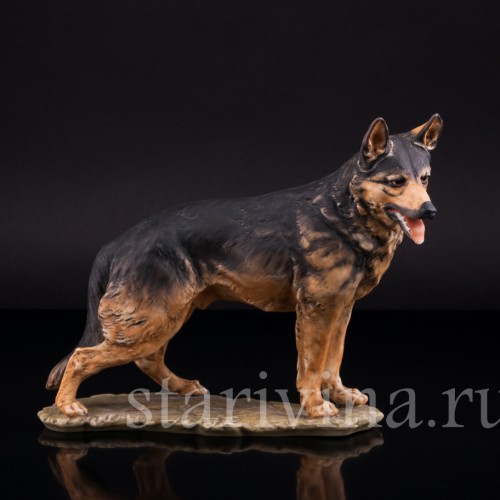 Овчарка, Alka Kaiser, Германия, до 1990 гг