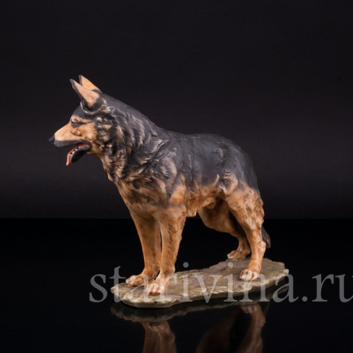 Овчарка, Alka Kaiser, Германия, до 1990 гг