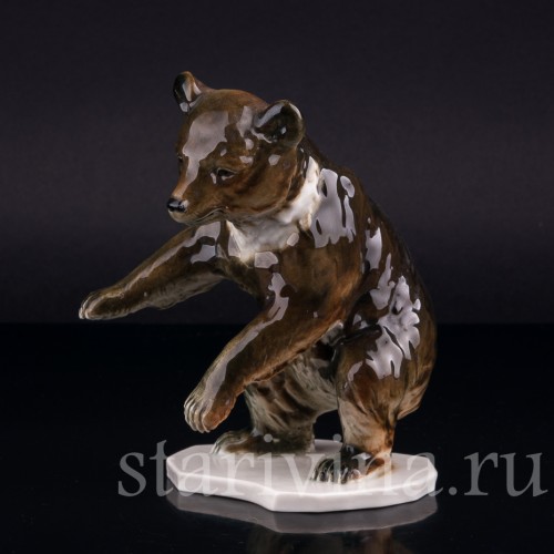 Медведь, Германия, сер. 20 в