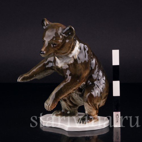 Медведь, Германия, сер. 20 в