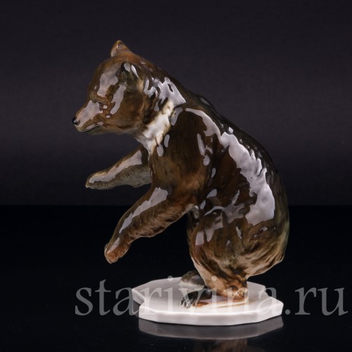 Медведь, Германия, сер. 20 в