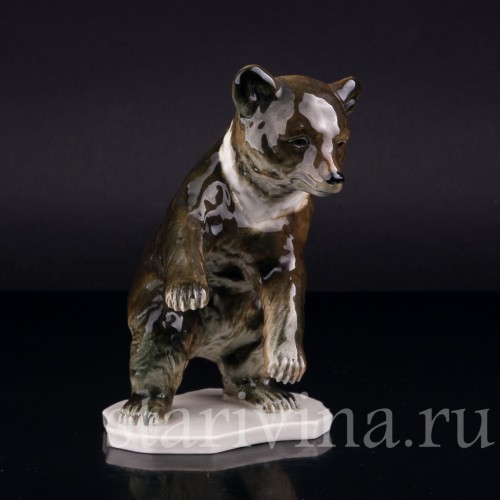 Медведь, Германия, сер. 20 в