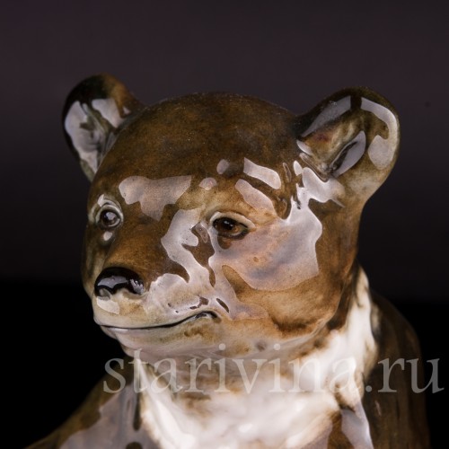 Медведь, Германия, сер. 20 в