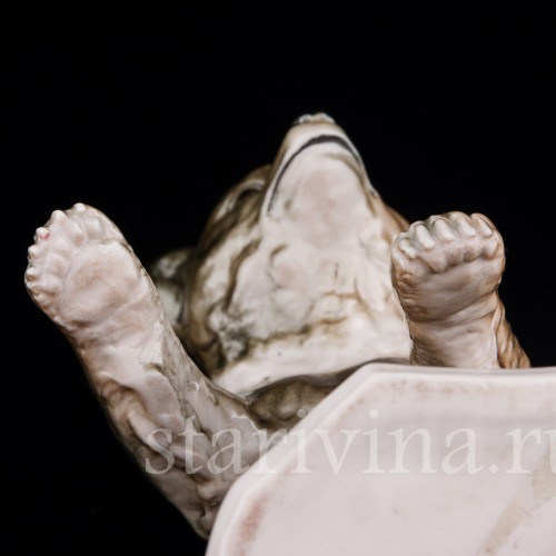 Медведь, Германия, сер. 20 в