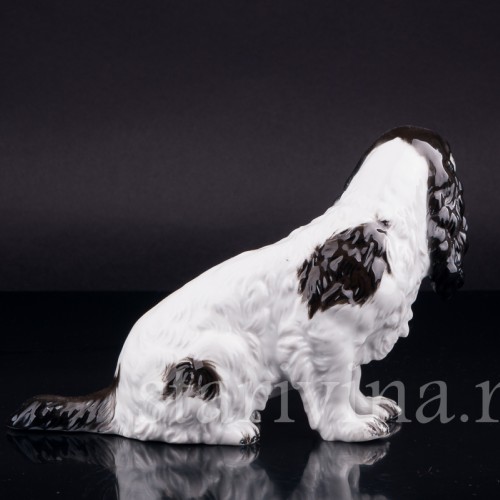 Фигурка собаки из фарфора Спаниель, Rosenthal, Германия, 1953-56 гг.