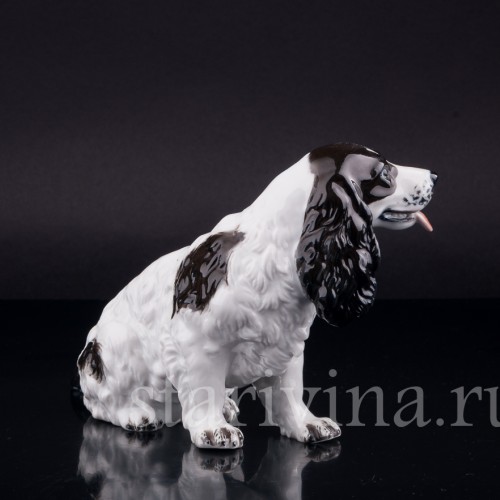 Фигурка собаки из фарфора Спаниель, Rosenthal, Германия, 1953-56 гг.