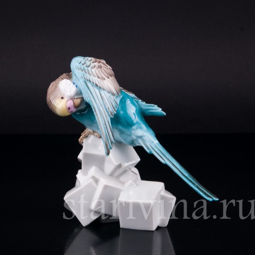 Волнистый попугай на сахаре, Augarten, Австрия, сер. 20 в