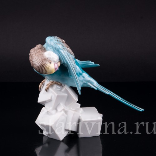 Волнистый попугай на сахаре, Augarten, Австрия, сер. 20 в