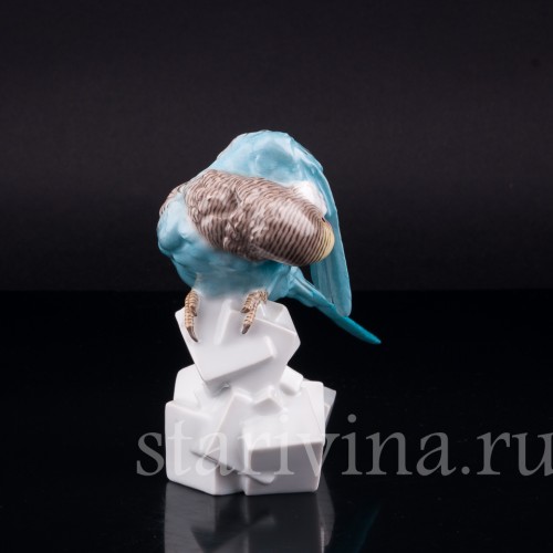 Волнистый попугай на сахаре, Augarten, Австрия, сер. 20 в