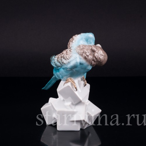 Волнистый попугай на сахаре, Augarten, Австрия, сер. 20 в